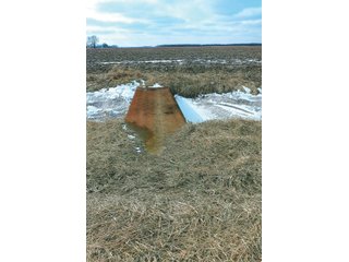 Property photo 15 - LAND AUCTION - 228+/- ACRES OFFERED IN 2 TRACTS IN JASPER COUNTY, INDIANA